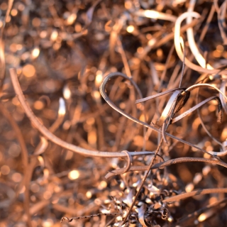 Compramos sucata de cobre Sucata de Aluminio Sucata de Inox Sucata de Antimonio Sucata de Catalisador